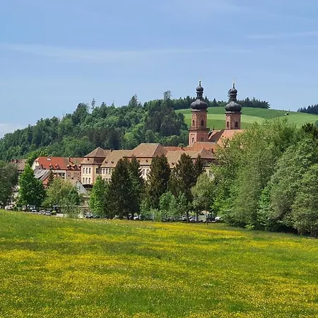 Malerkarle Zentral *